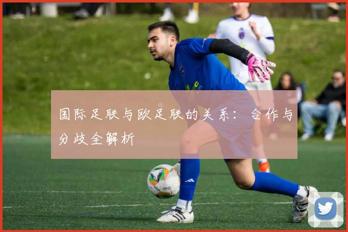 国际足联与欧足联的关系:合作与分歧全解析