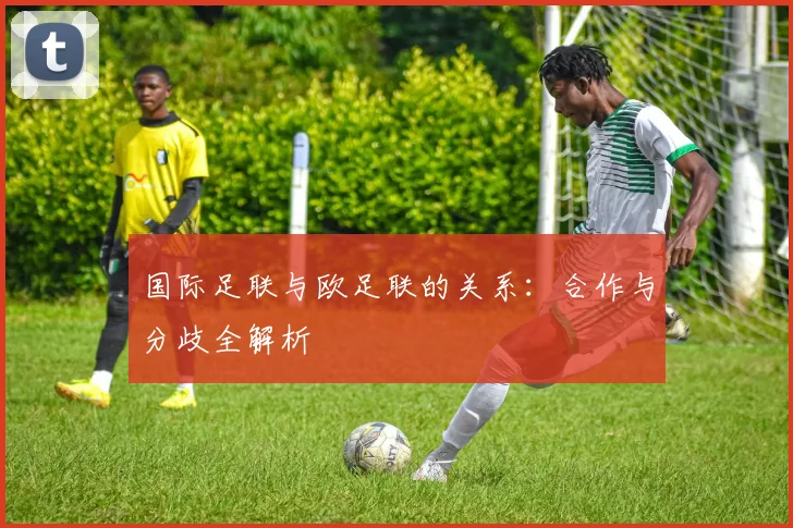 国际足联与欧足联的关系：合作与分歧全解析